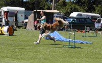 Another jump - Photo by Debbie Powell