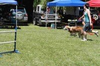 Doing what he does best - running away. Photo by Debbie Powell